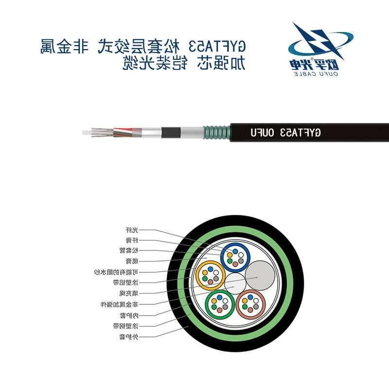 白山市GYFTA53光缆